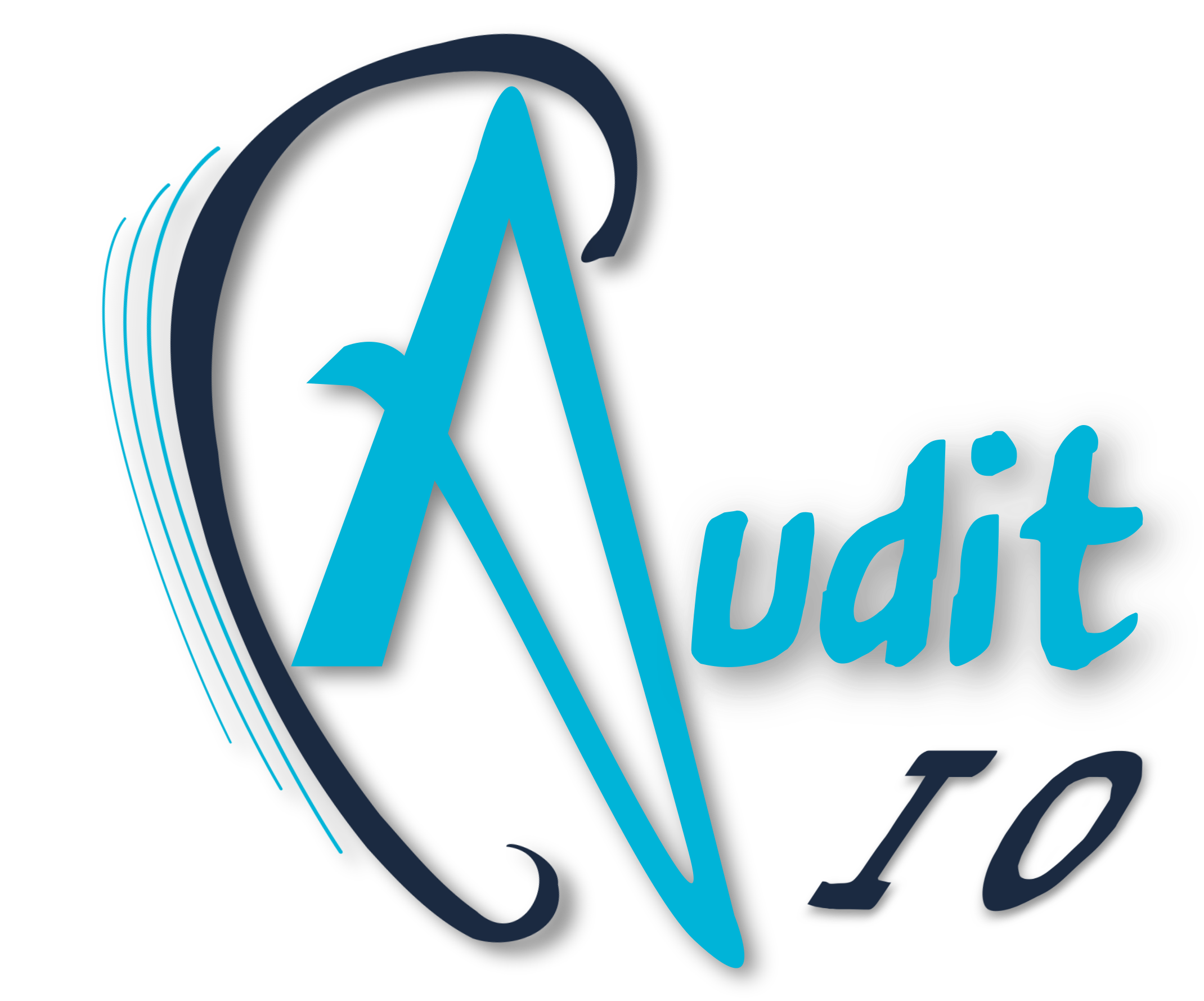 Logo Audit IO